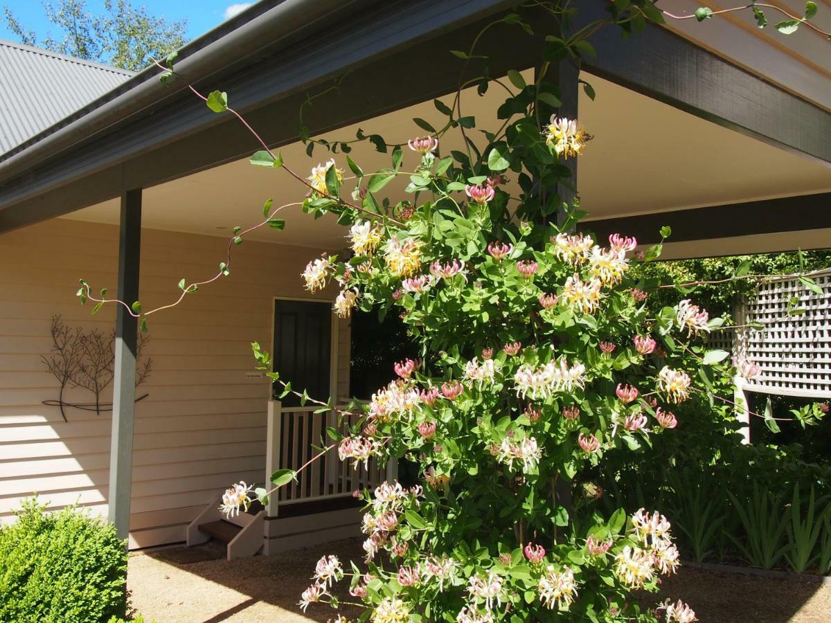 Delderfield Cottages Marysville Exterior foto